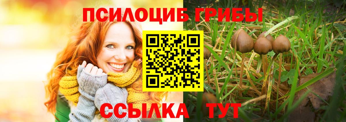 Большой Камень  Псилоцибиновые грибы Cubensis  Псилоцибиновые грибы Magic Shrooms  Вход с VPN 